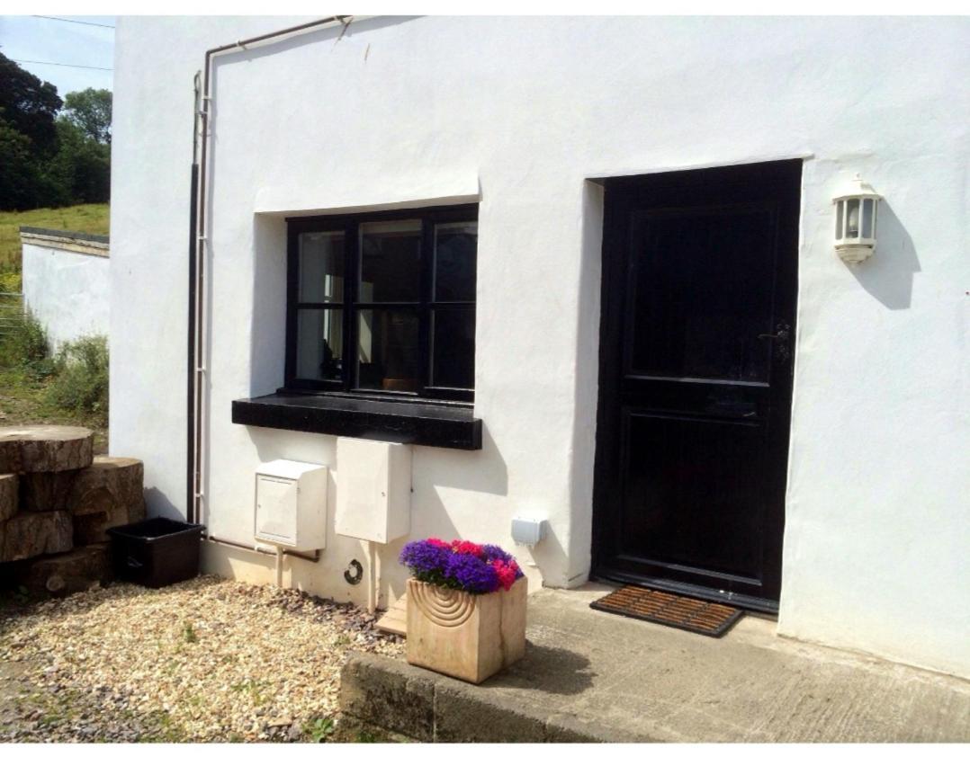 Laston Mews Ilfracombe Buitenkant foto